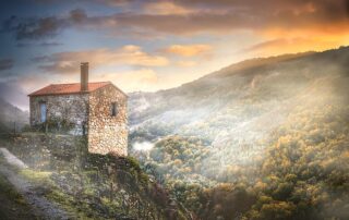 origen de la carne de vaca gallega